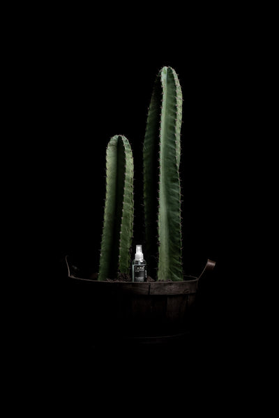 Post Wax Serums - Cactus H20