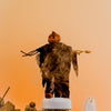 wakse Hard Wax Beans - Pumpkin Scarecrow - Large