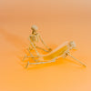 wakse Hard Wax Beans - Pumpkin Scarecrow - Large