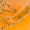 wakse Hard Wax Beans - Pumpkin Scarecrow - Large