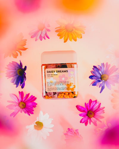 wakse Daisy Dreams Hard Wax Beans - Large