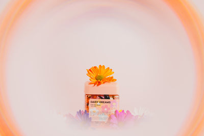 wakse Daisy Dreams Hard Wax Beans - Large