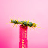 Prickly Pear Bump Blocker Post-Wax Serum