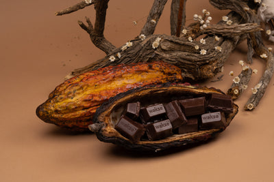 wakse Hot Cocoa Hard Wax Bar Set (4-pack)