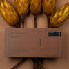 Chocolate Bar - Hard Wax Bars - Chocolate