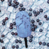 Hard Wax Popsicles - Blueberry