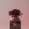wakse Hard Wax Beans - Rose gold - Small