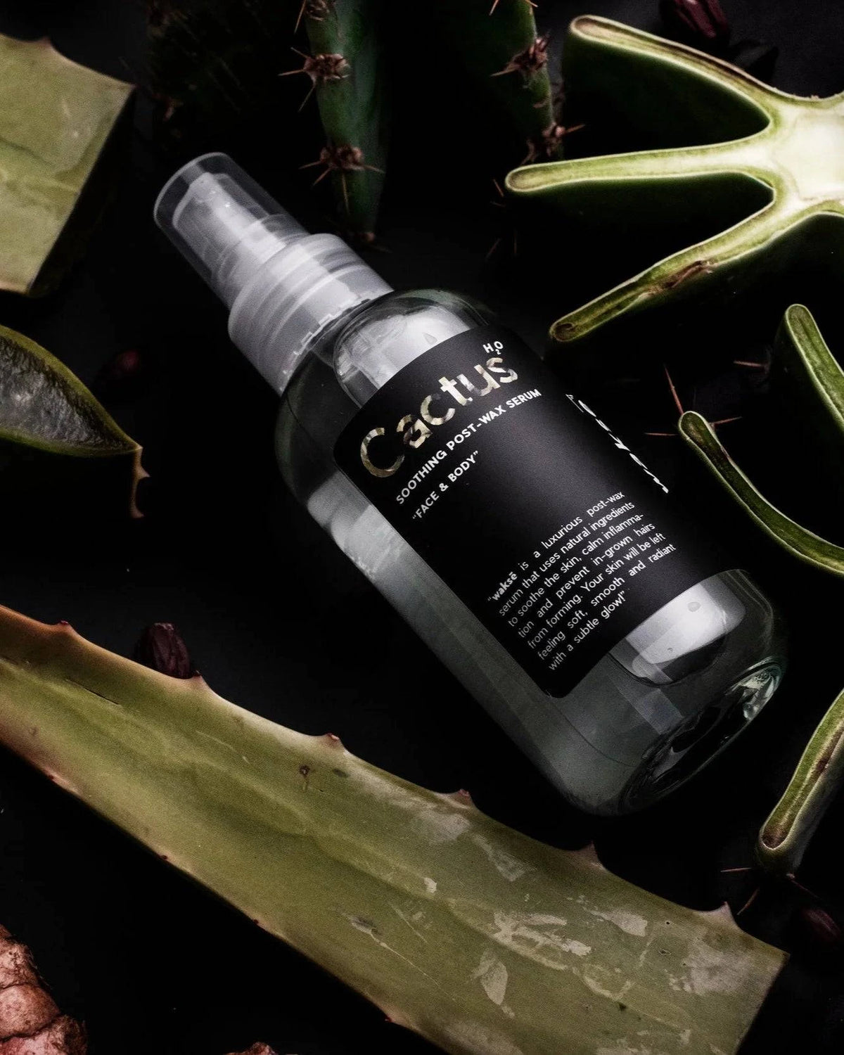 wakse-cactus-h2o_jpg.webp?v= wakse-cactus-h2o_jpg.webp?v=